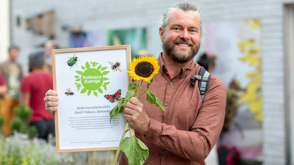 Emil V Nilsson med diplomet och hedersutmärkelsen som han mottog från nätverket Pollinera Sverige.