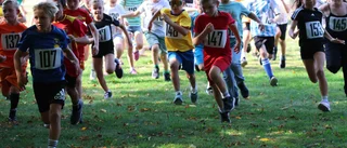 Bildextra: Mycket spring i benen i Lilla Parkloppet 