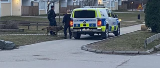Sökinsats på torsdagen – försvunnen kvinna hittades