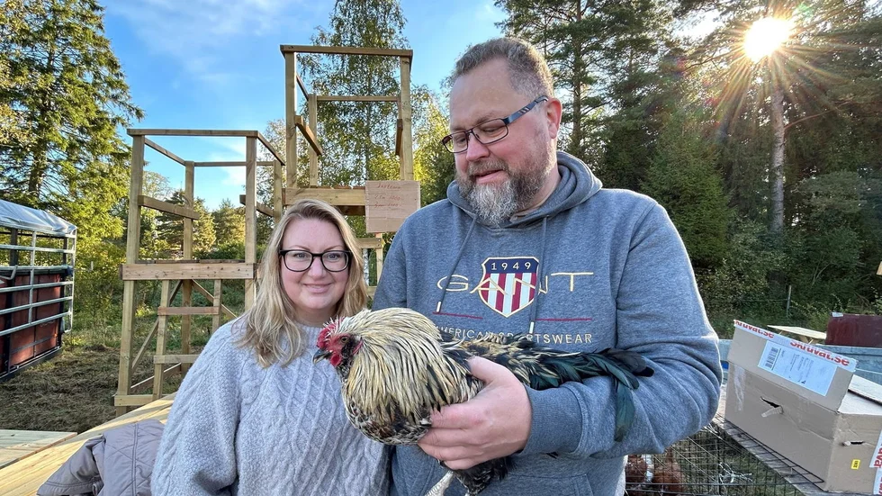 Sandra Nilsson och Patrik Jackobsson kom till marknaden för att köpa en tupp och är nu klara med det uppdraget. Det är en snäll tupp som kostade 100 kronor och ska heta Ozzy.