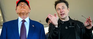 Musk skyller bränderna på jämställdhet