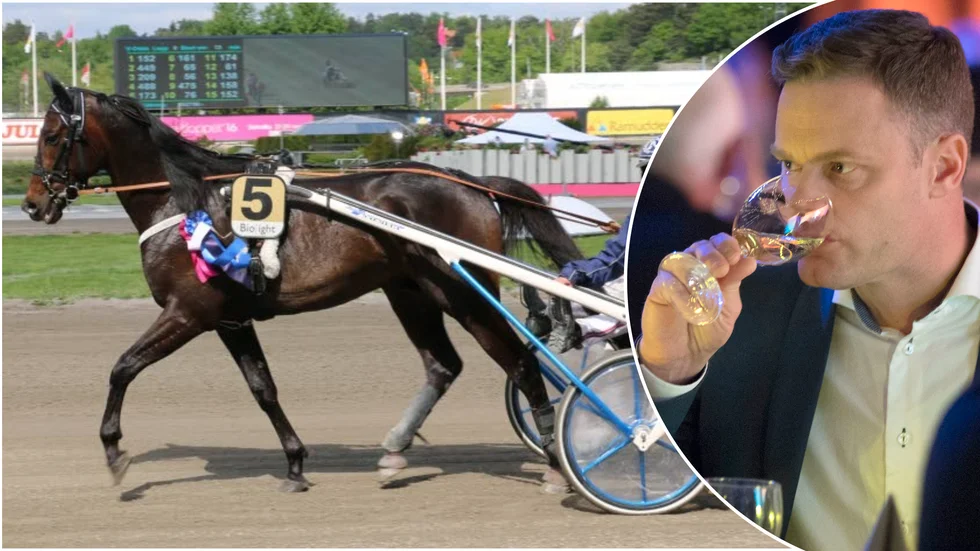 Makethemark drog in över 12 miljoner kronor under sin karriär, blev bland annat trea i elitloppet. Ägare till den hästen och lillebror Staro Royal Mark är bland andra Adam Nilsson från Älvsbyn.