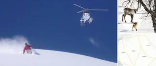 Samebyar fick rätt om stopp för heliski – men striden går vidare