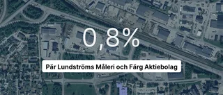 Pär Lundströms Måleri och Färg Aktiebolag tappade 23,7 procent av intäkterna