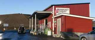 Kvinna misstänks för stölder på Bredviksberget