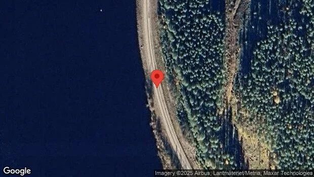 Renar på vägen kan skapa fara på väg 670