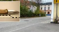 Dömd för mordförsök försatt på fri fot