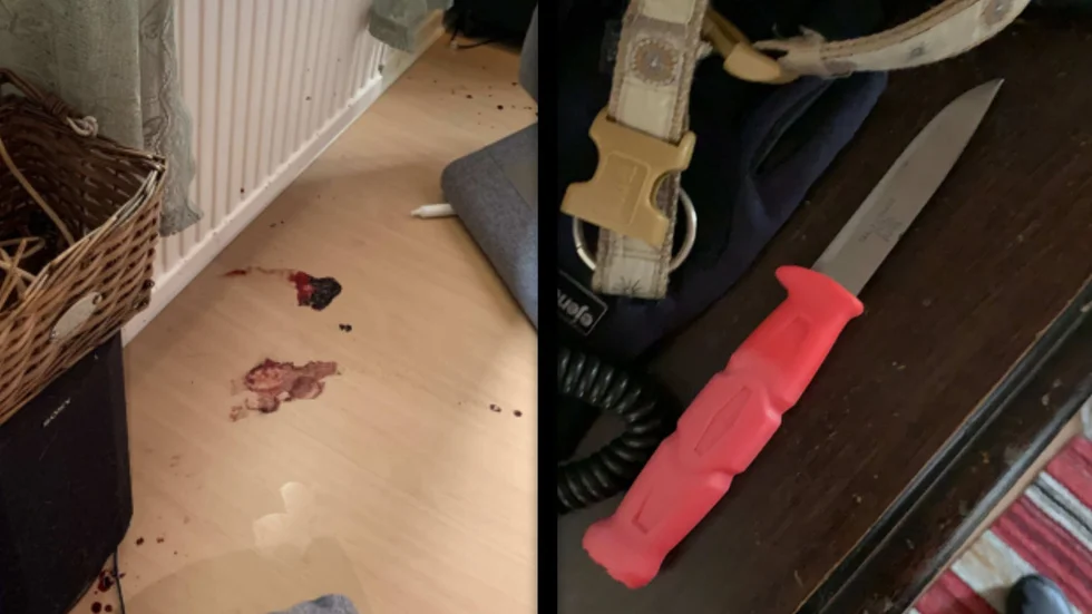 Till vänster syns blodspår efter ett av djuren och till höger syns den kniv som kvinnan använde sig av för att hugga djuren.