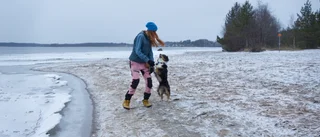 Här planeras fem nya naturreservat i Luleå – och det kan bli fler