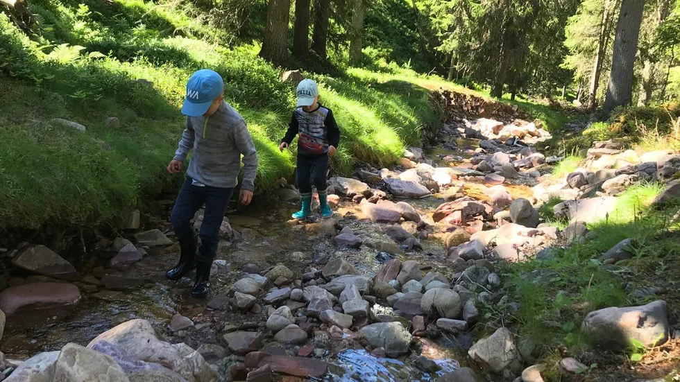 En levande natur för alla, önskar sig insändarskribenterna.