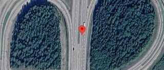 Älgar på fel sida av viltstängslet på E4