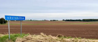 Föreningslivet bygger landets försvar mot fördumning