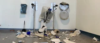 Gick bärsärkagång – förstörde allt som kom i deras väg
