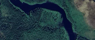 Ägarbyte för skogen på Långvik 475 i Råneå