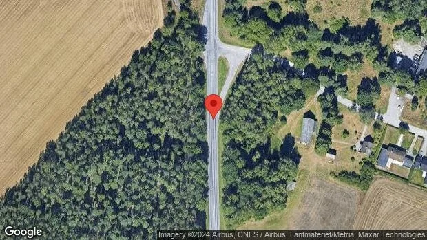 Viltolycka på väg 23