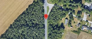Viltolycka på väg 23