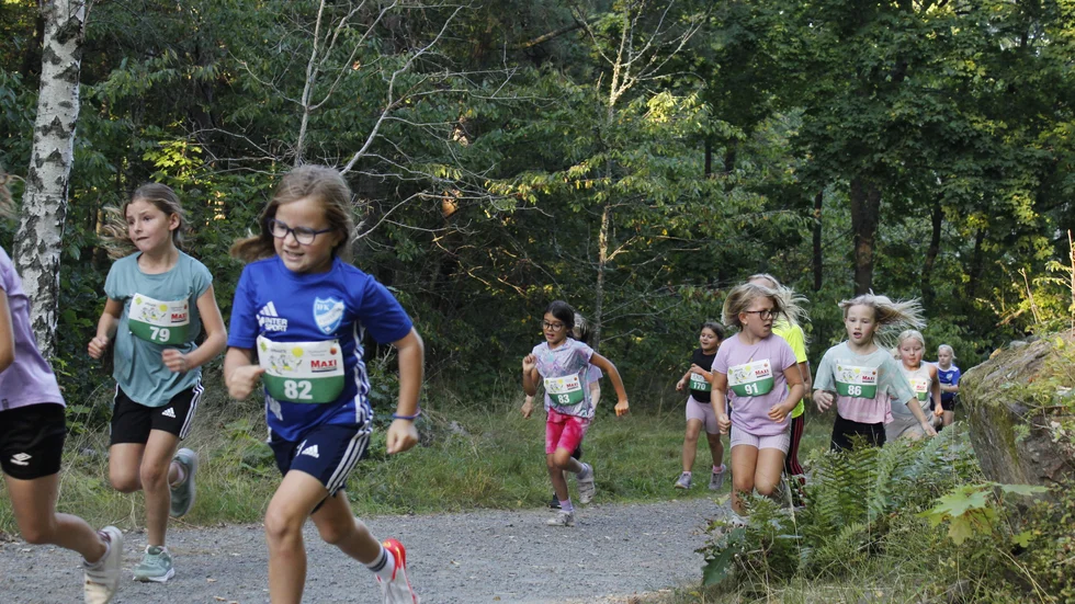 Kämpatakter i spåret vid VO-torpet under VO-joggen 2024.