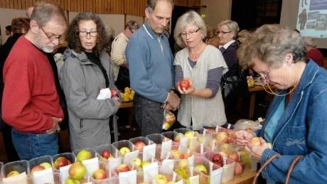 Lars-Erik och Inga-Lena Andersson, Gissebo, Hjorted diskukterar ett av alla sorters äpplen som besökarna hade med sig till äppelkvällen på folkhögskolan.