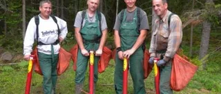 Polacker vårdar den svenska skogen