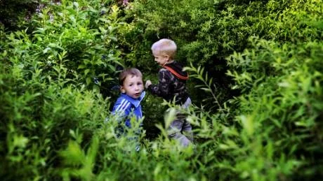 Liam Åman och Neo Rampeltin leker i buskaget brevid scenen under Breviksskolans sommaravslutning i Stadsparken. foto sara winsnes