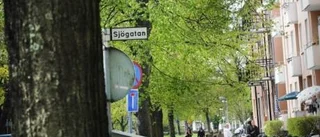 Psyksjuk kvinna slog ned pensionärspar
