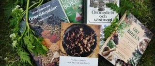Hon tycker att maskrosen är underskattad