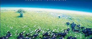 En hyllning till vår planet Jorden