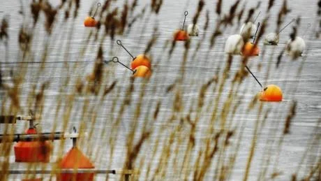 Foto: Ellen Kindstrand