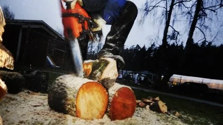 Det tog bara några minuter för Jarmo Karlea från Eksjö att motorsåga fram noshörningar, björnar, troll och ekorrar med sina motorsågar.
Foto: Ellen Kindstrand