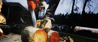 Traditionell julmarknad lockade folk i Ankarsrum