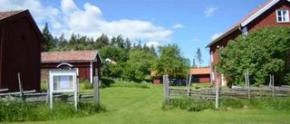 Musik och hantverk vid Lofta hembygdsgård