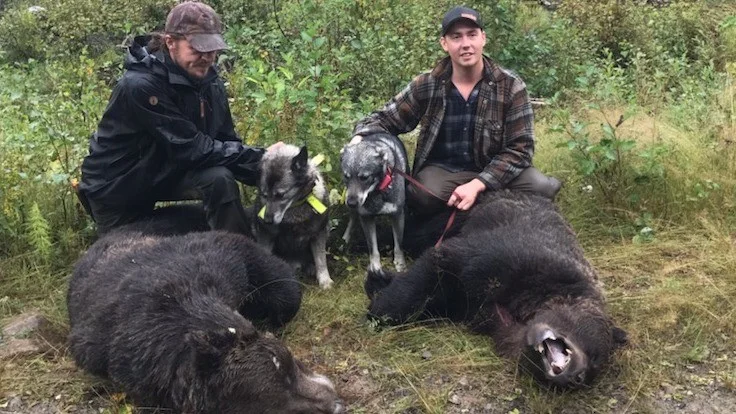 Tony Kristoffersson, Nammatj, Luna och Simon Häggström.