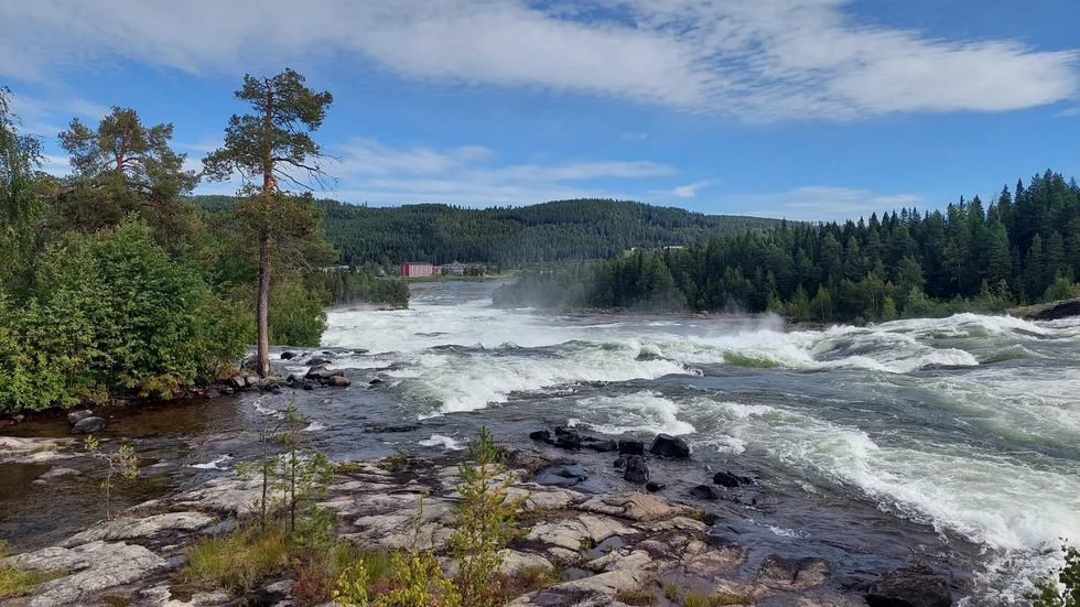 Storforsens naturreservat är ett av alla naturreservat i Sverige vars värden nu hotas av regeringens neddragningar. Forsen är ett av länets störts besöksmål. (Arkivbild)