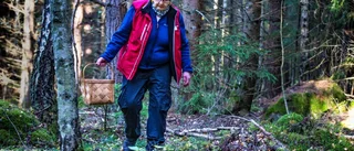 Här är svamparna du ska akta dig för
