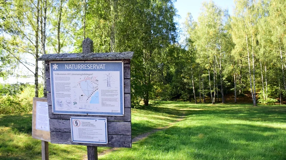 Länsmansgårdsängen blev ett reservat år 1965 och har ett artikt bestånd av växter och insekter.