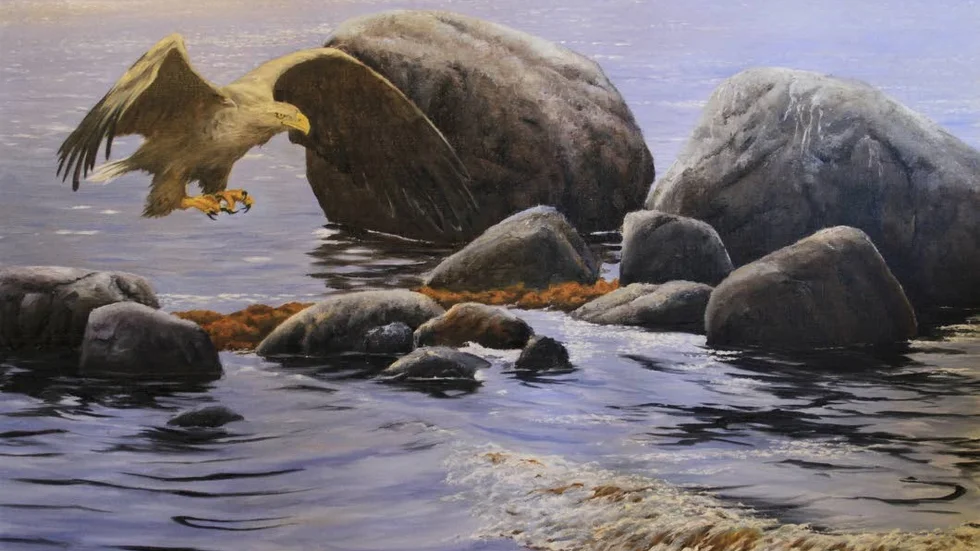"Havsörn vid Järnlunden" av Leif Liljeblad.