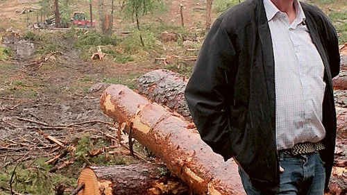 Bertil Axelsson tycker inte om hur kommunen hanterat avverkningen i området.
