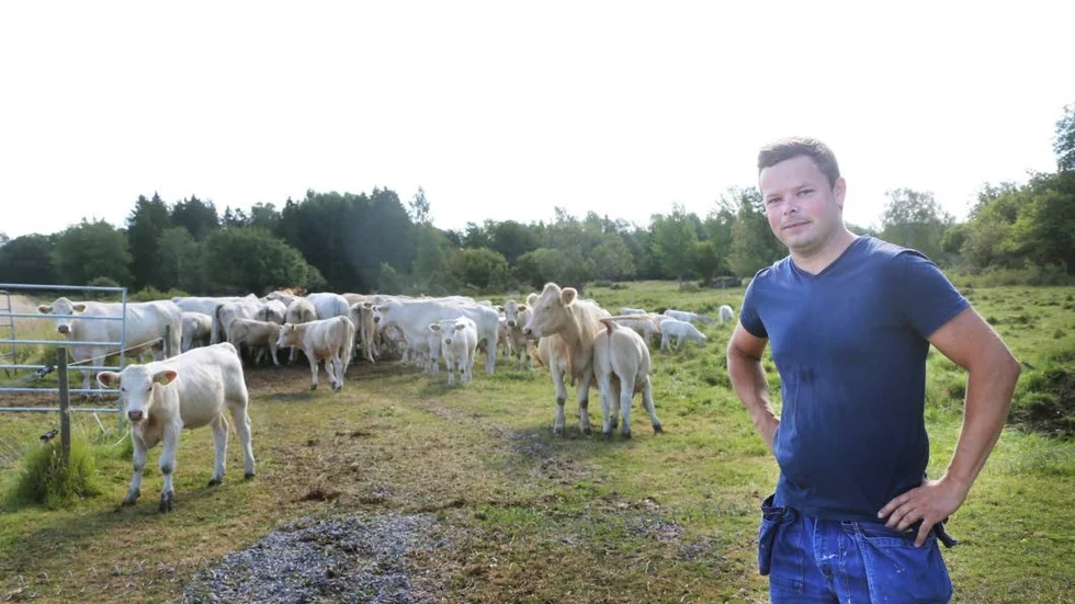 Vaccinationsområde. Philip Berglunds kor är friska men står på tur att vaccineras precis som alla andra djur inom vaccinationsområdet.