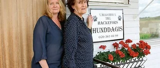 En dagisplats för bästa vännen