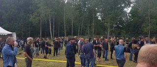 Trivsamt röj i skogen