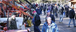 BILDEXTRA: Veteranskogsdag lockade storpublik