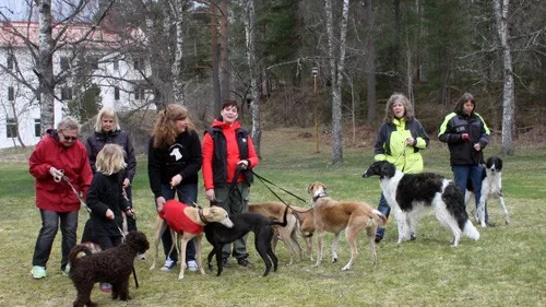 Ett 20-tal hundar med ägare gav sig i lördags ut på en hundvandring i Målilla.