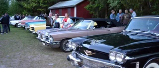 Rockabilly lockar till dans och bilträff