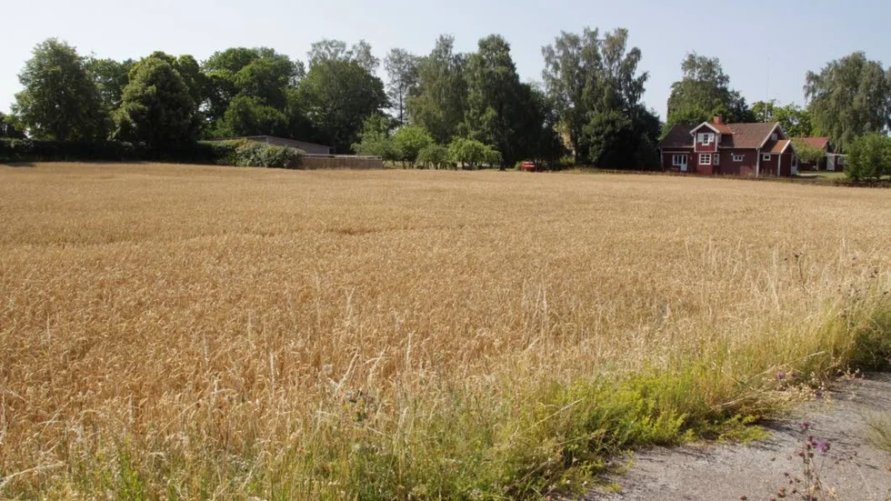 Här vill pastoratet bygga en förskola.