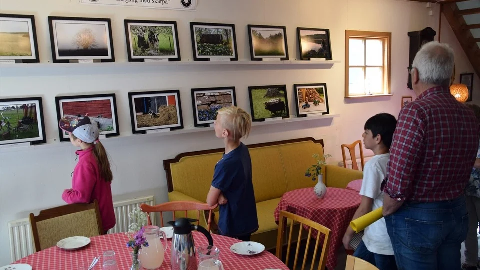 Eleverna studerar Fotoklubbens foton, då även de har utställning i lokalen Harg.