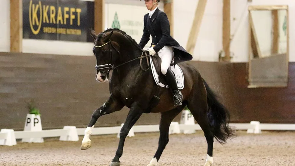 Emmelie Karlsson och hästen Cragganmore hade en fin helg i Strömsholm med en niondeplacering och en tredjeplacering.