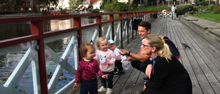 Vilken valfråga är viktigast?