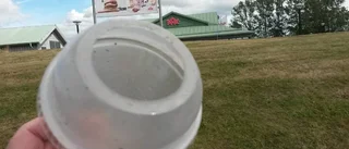 Igelkott nära dö i plastmugg