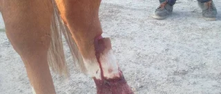 Fick ta farväl efter otäcka skadan