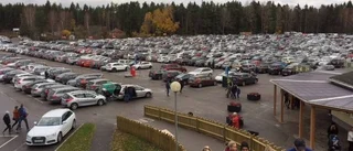Nytt besöksrekord för Kolmården